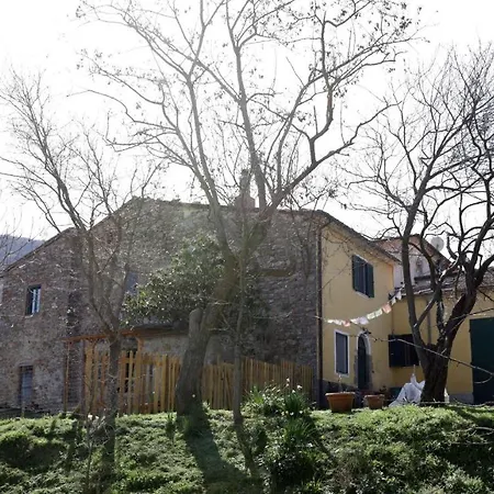 Giuncaia17 Polveraia