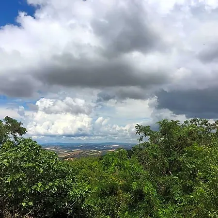 Giuncaia17