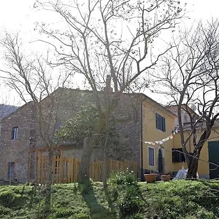 Giuncaia17 4* Polveraia