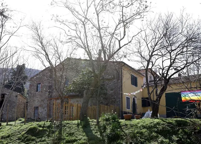 Giuncaia17 Polveraia